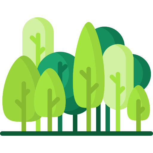 Δασικά Έργα